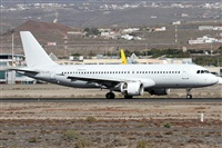 ©Alfonso Solís - Asociación Canary Islands Spotting. Click to see full size photo ©Alfonso Solís - Asociación Canary Islands Spotting. Click to see full size photo