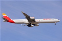 Miguel A. gueda Rguez.  (CANARY ISLANDS SPOTTING). Click to see full size photo