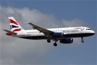 Alfonso Sols - Asociacin Canary Islands Spotting. Click to see full size photo