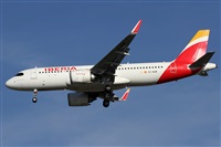 ©Alfonso Solís - Asociación Canary Islands Spotting. Click to see full size photo ©Alfonso Solís - Asociación Canary Islands Spotting. Click to see full size photo