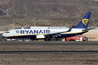 Alfonso Sols - Asociacin Canary Islands Spotting. Click to see full size photo
