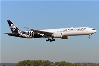 Miguel A. gueda Rguez.  (CANARY ISLANDS SPOTTING). Click to see full size photo