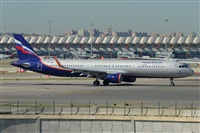 Miguel A. gueda Rguez.  (CANARY ISLANDS SPOTTING). Haz click para ampliar