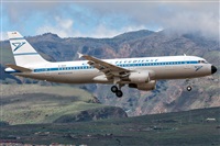©Adolfo Bento - Gran Canaria Spotters. Click to see full size photo ©Adolfo Bento - Gran Canaria Spotters. Click to see full size photo