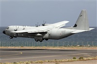 Adrin Alonso Lemes - Lanzarote Spotters. Click to see full size photo