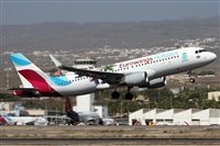 ©Alfonso Solís - Asociación Canary Islands Spotting. Click to see full size photo ©Alfonso Solís - Asociación Canary Islands Spotting. Click to see full size photo