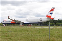 Miguel A. gueda Rguez.  (CANARY ISLANDS SPOTTING). Click to see full size photo