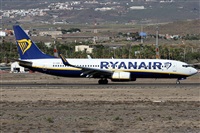 Alfonso Sols - Asociacin Canary Islands Spotting. Click to see full size photo