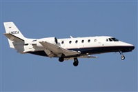 Alfonso Sols - Asociacin Canary Islands Spotting. Click to see full size photo