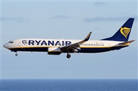 ©Alfonso Solís - Asociación Canary Islands Spotting. Click to see full size photo ©Alfonso Solís - Asociación Canary Islands Spotting. Click to see full size photo