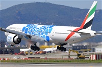 Miguel A. gueda Rguez.  (CANARY ISLANDS SPOTTING). Click to see full size photo
