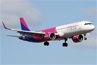 Alfonso Sols - Asociacin Canary Islands Spotting. Click to see full size photo