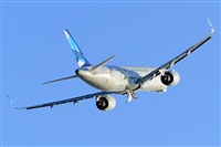 Miguel A. gueda Rguez.  (CANARY ISLANDS SPOTTING). Click to see full size photo