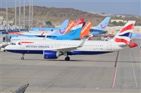Miguel A. gueda Rguez.  (CANARY ISLANDS SPOTTING). Click to see full size photo