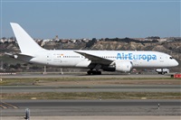 ©Alfonso Solís - Asociación Canary Islands Spotting. Click to see full size photo ©Alfonso Solís - Asociación Canary Islands Spotting. Click to see full size photo