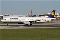 Alfonso Sols - Asociacin Canary Islands Spotting. Haz click para ampliar