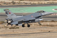 ©Adolfo Bento - Gran Canaria Spotters. Click to see full size photo ©Adolfo Bento - Gran Canaria Spotters. Click to see full size photo