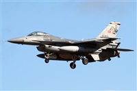 Alfonso Sols - Asociacin Canary Islands Spotting. Click to see full size photo