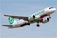 Alfonso Sols - Asociacin Canary Islands Spotting. Haz click para ampliar
