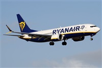 Alfonso Sols - Asociacin Canary Islands Spotting. Click to see full size photo