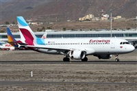 ©Alfonso Solís - Asociación Canary Islands Spotting. Click to see full size photo ©Alfonso Solís - Asociación Canary Islands Spotting. Click to see full size photo