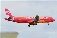 Miguel A. gueda Rguez.  (CANARY ISLANDS SPOTTING). Click to see full size photo
