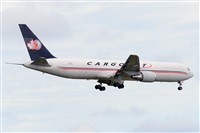 Miguel A. gueda Rguez.  (CANARY ISLANDS SPOTTING). Click to see full size photo