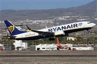 �Alfonso Sol�s - Asociaci�n Canary Islands Spotting. Click to see full size photo