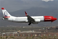 �Alfonso Sol�s - Asociaci�n Canary Islands Spotting. Click to see full size photo
