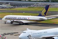 �Miguel A. �gueda Rguez.  (CANARY ISLANDS SPOTTING). Click to see full size photo