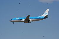 ©Guillem Ramonet - Iberian Spotters. Click to see full size photo ©Guillem Ramonet - Iberian Spotters. Click to see full size photo