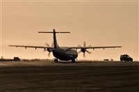Javier de la Cruz - CANARY ISLANDS SPOTTING. Click to see full size photo