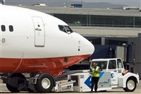 Javier de la Cruz - CANARY ISLANDS SPOTTING. Click to see full size photo
