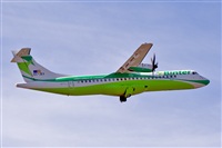 Javier de la Cruz - CANARY ISLANDS SPOTTING. Click to see full size photo