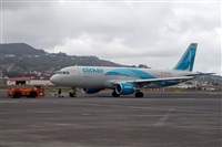 Javier de la Cruz - CANARY ISLANDS SPOTTING. Haz click para ampliar