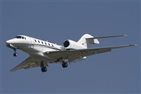 Jos Miguel Bernases - Noisy Spotters. Click to see full size photo