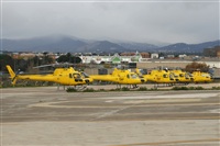 Cele - Spotters BCN. Click to see full size photo