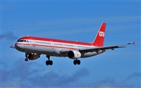 Alejandro Bethencourt (Canary Islands Spotting). Click to see full size photo