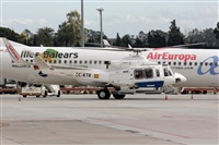 La Roche Spotters. Click to see full size photo