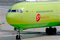 Miguel A. gueda Rguez.  (CANARY ISLANDS SPOTTING). Click to see full size photo