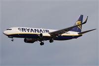 Alfonso Sols - Asociacin Canary Islands Spotting. Click to see full size photo
