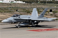 Gerardo A. Prez   Canary Islands Spotting. Click to see full size photo