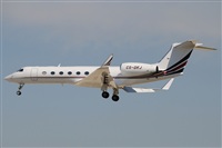 Rubn C.. Click to see full size photo