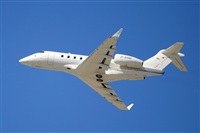 Ana L@dy Spotter. Click to see full size photo