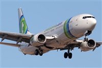 Javier de la Cruz - CANARY ISLANDS SPOTTING. Click to see full size photo