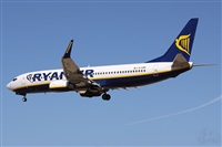 Alfonso Sols - Asociacin Canary Islands Spotting. Click to see full size photo