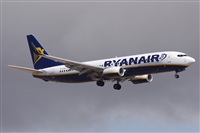 Alfonso Sols - Asociacin Canary Islands Spotting. Click to see full size photo