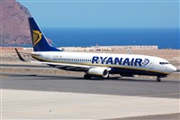 ©Luciano Fumero( freedom spotter)canary island spotting. Click to see full size photo ©Luciano Fumero( freedom spotter)canary island spotting. Click to see full size photo