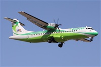 ©Alfonso Solís - Asociación Canary Islands Spotting. Click to see full size photo ©Alfonso Solís - Asociación Canary Islands Spotting. Click to see full size photo