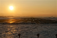 Rares Matei. Click to see full size photo